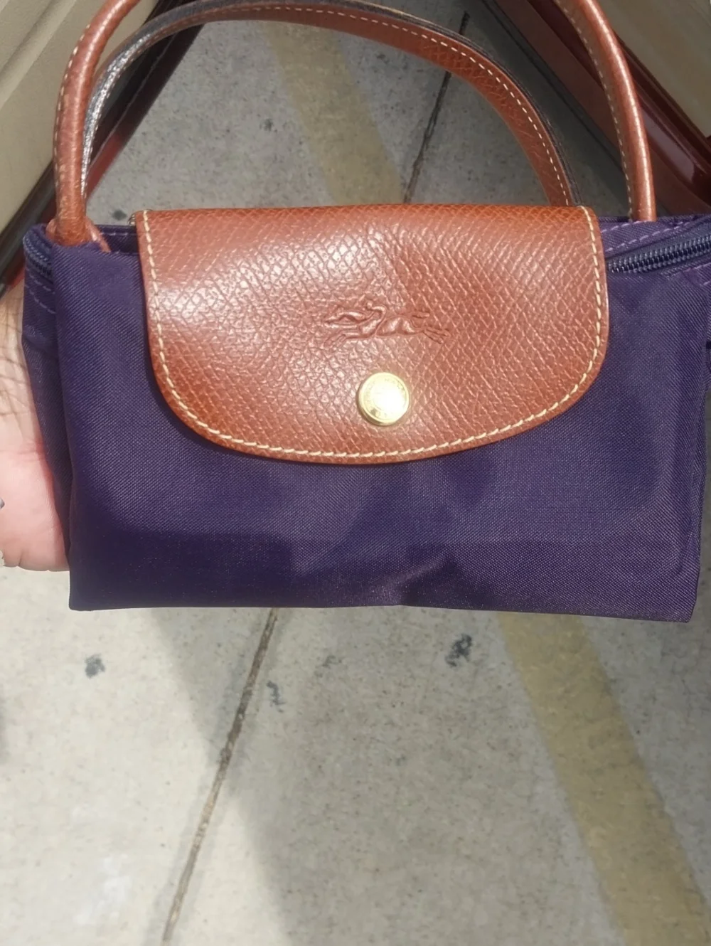 Longchamp Bag